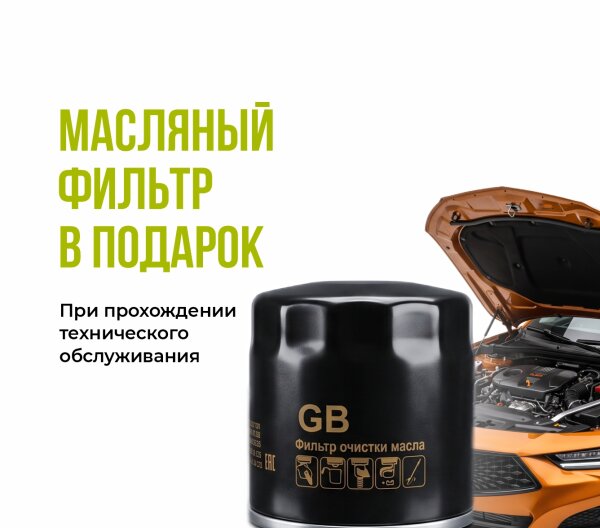 Масляный фильтр BIG FILTER в подарок
